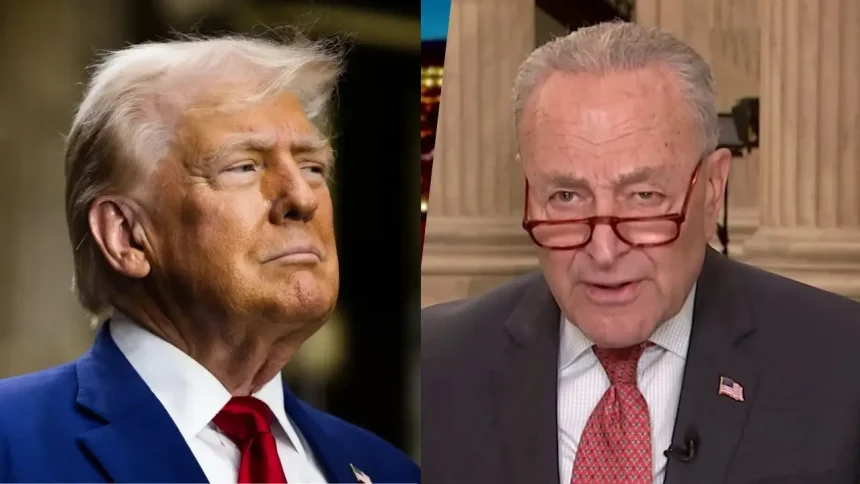 Schumer Defends Helping Republicans Avoid Shutdown Amid Democratic Outrage