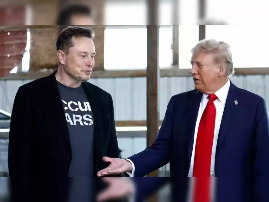 Why Did Americans Flood the Streets to Protest Trump and Elon Musk?